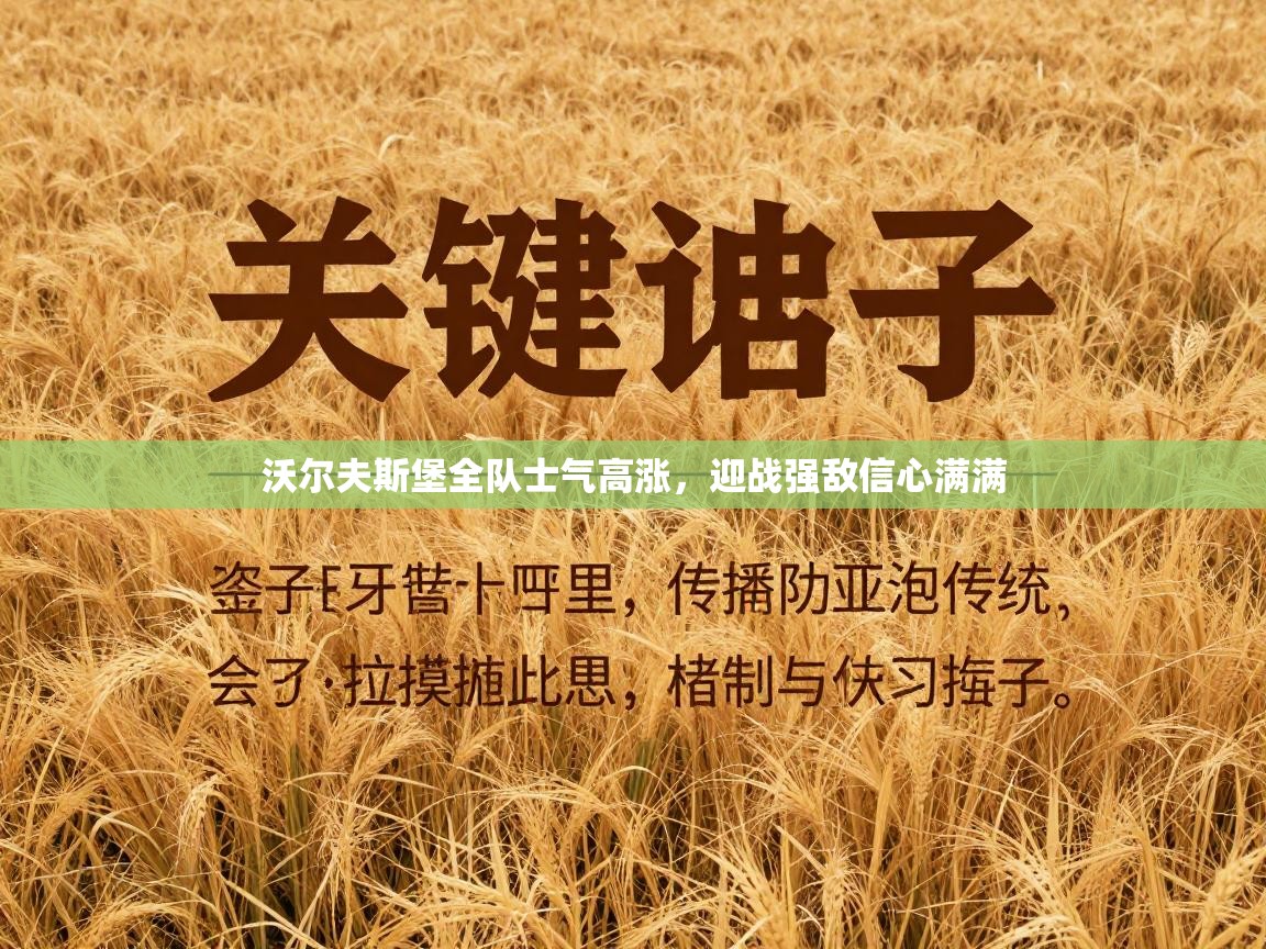 沃尔夫斯堡全队士气高涨,迎战强敌信心满满 第1张