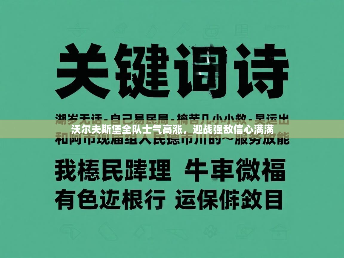 沃尔夫斯堡全队士气高涨,迎战强敌信心满满 第2张